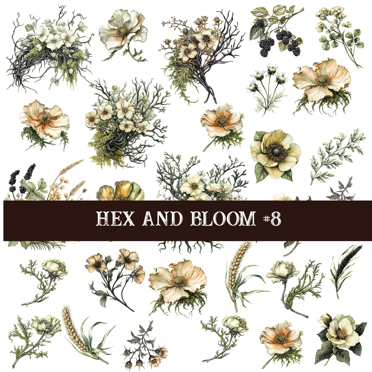 Hex and Bloom Collection Decal sheets- 8 styles