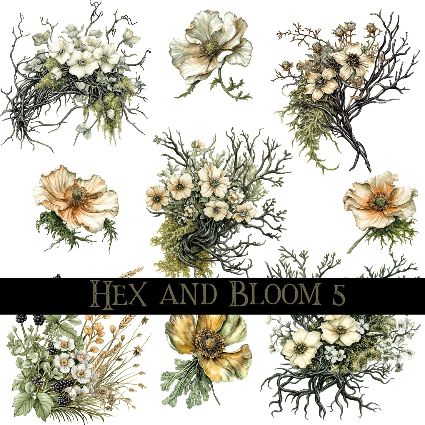Hex and Bloom Collection Decal sheets- 8 styles