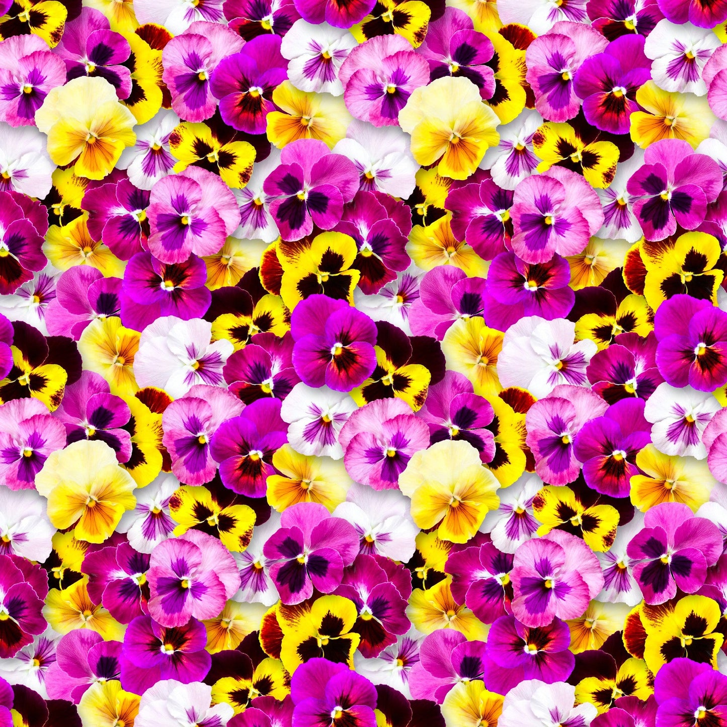 Pretty Pansy - Adhesive Vinyl Sheets