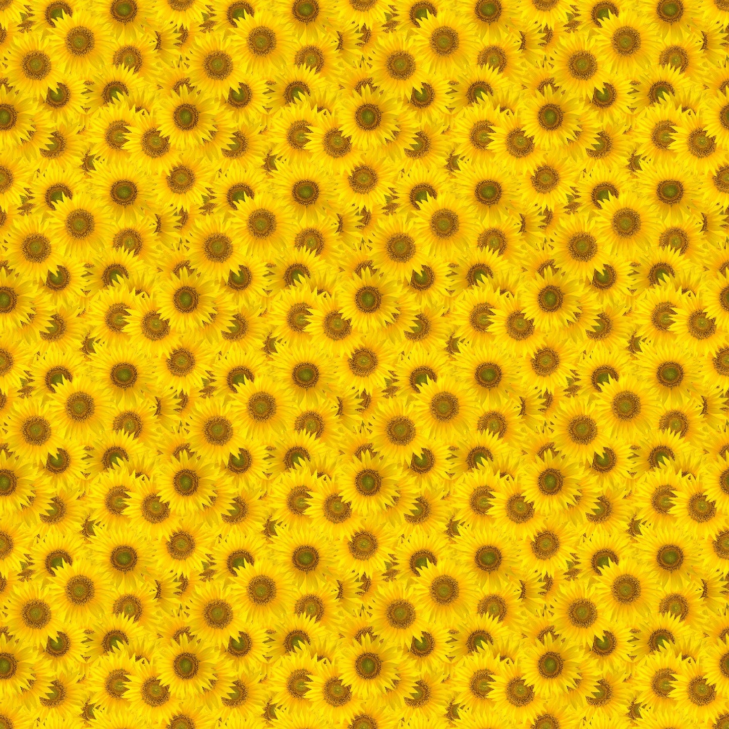 Sunflower Power - Adhesive Vinyl 12x12 Sheets