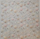 #144 Holographic Shattered Seashells