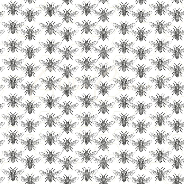 Bee Happy Collection 25 prints - Adhesive Vinyl 12x12 Sheets