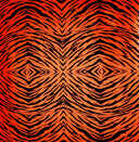 Orange Tiger Stripes - Adhesive Vinyl 12x12 Sheet