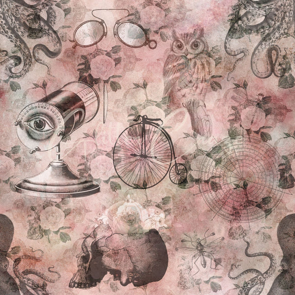 Romantic Steampunk - Adhesive Vinyl 12x12 sheets - 20 Designs