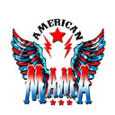 4th of July - UV DTF Decals- 22 Designs