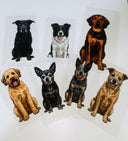 Custom Pet Decal- UV DTF Decal