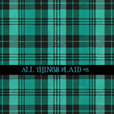 All Things Plaid- 12x12 vinyl sheets-12 designs available