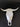 Bull Skull - Tumbler element