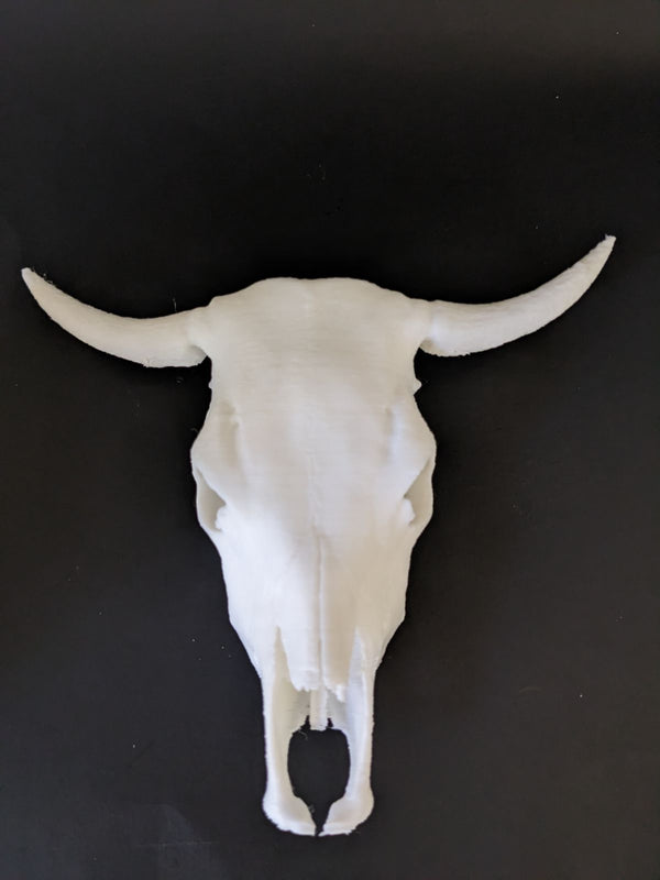 Bull Skull - Tumbler element
