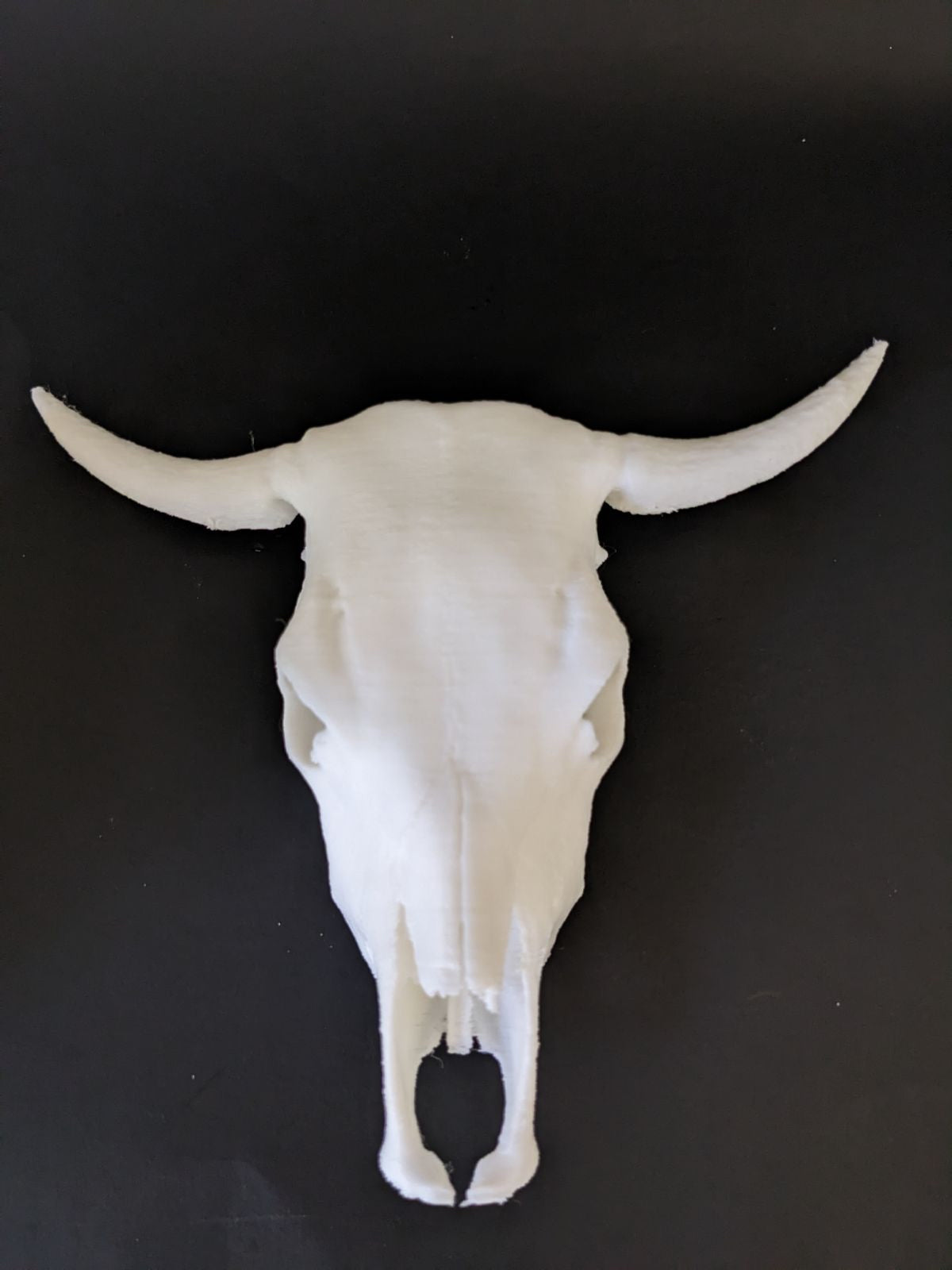 Bull Skull Tumbler Element