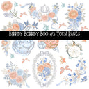 Bibbidy Bobbidy Boo Torn Pages UV DTF Decal sheets 4 Designs available