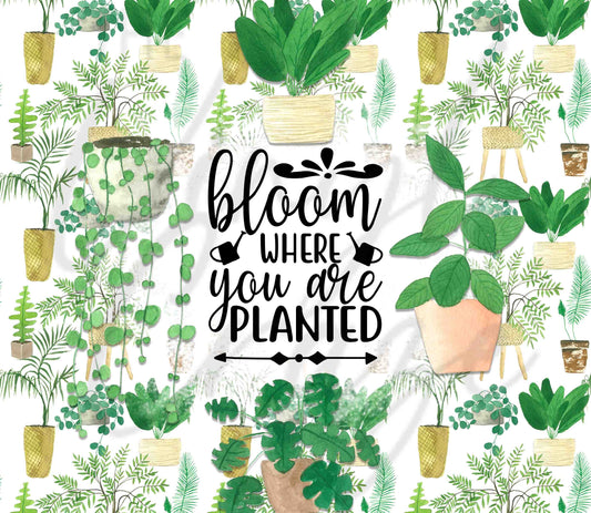 Bloom Where You're Planted - Adhesive Vinyl Wrap