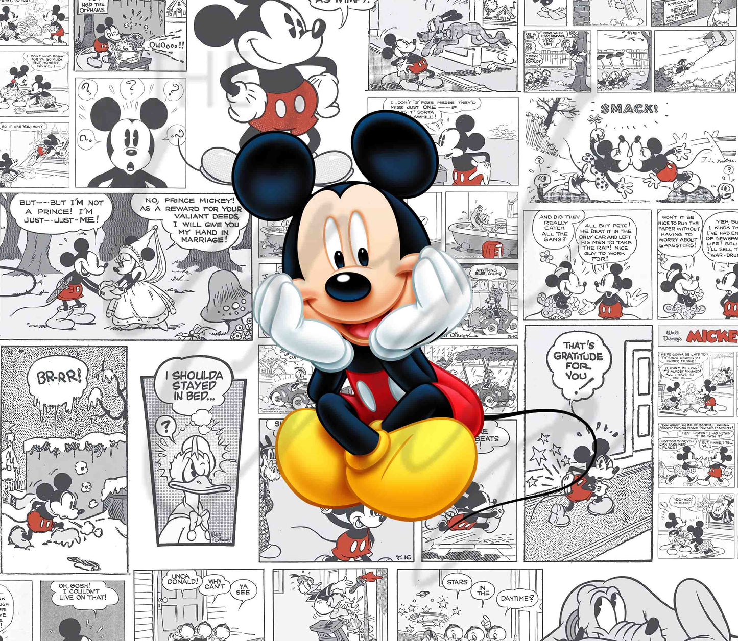 Cute Comic Mouse - Adhesive Vinyl Wrap