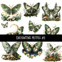 Enchanting Moths UV DTF Decal sheets