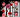 Floral Stripes and Roses - Adhesive Vinyl Wrap