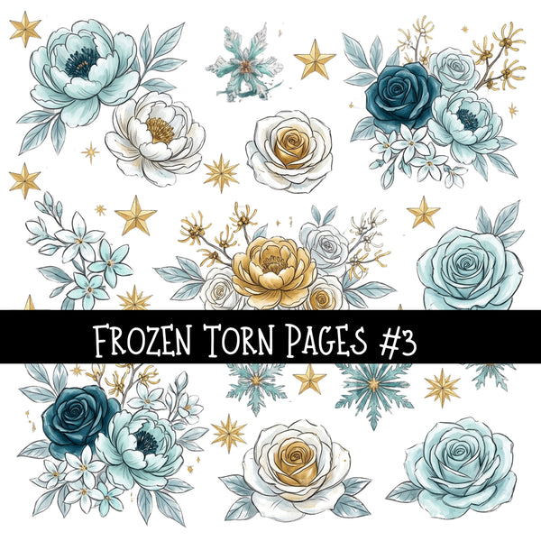 Frozen Torn Pages UV DTF Decal sheets 6 Designs available