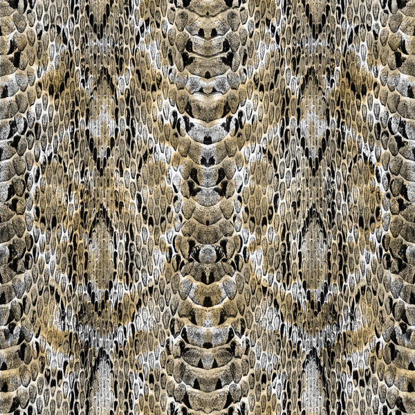Gold Snakeskin - Adhesive Vinyl
