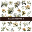 Hex and Bloom Collection Decal sheets- 8 styles