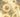 Honey Sunflower - Adhesive Vinyl Wrap