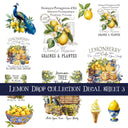 Lemon Drop Collection 3 UV Decal sheets to choose from