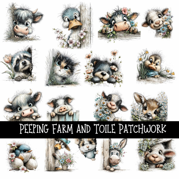 Peeping Farm and Toile Doodle Patchwork Set