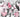 Pink Roses and Skeleton - Adhesive Vinyl Wrap