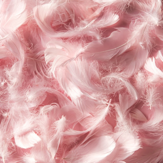 Pink Feathers - Adhesive Vinyl 12x12 Sheet