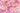 Pink Paper Flower - Adhesive Vinyl Wrap