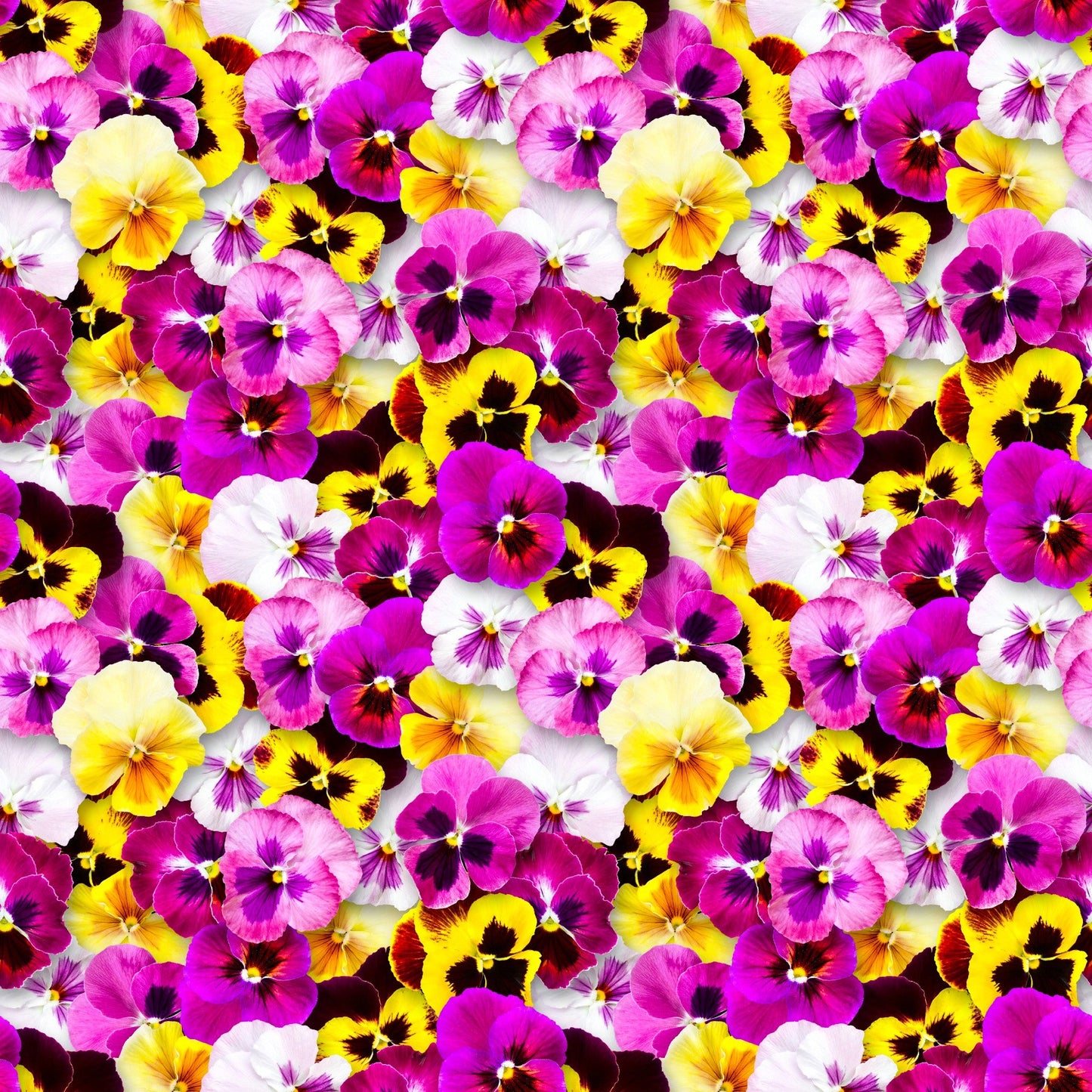 Pretty Pansy - Adhesive Vinyl Sheets