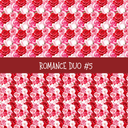 Romance Duo precut vinyl sheet- 2 coordinating patterns on one sheet (7 Variants)