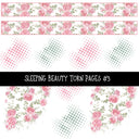Sleeping Beauty Torn Pages UV DTF Decal sheets 3 designs available