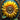 Steampunk Mechanical Sunflowers - Adhesive Vinyl Wraps