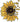 Sunflower With Hearts - UV DTF Decal