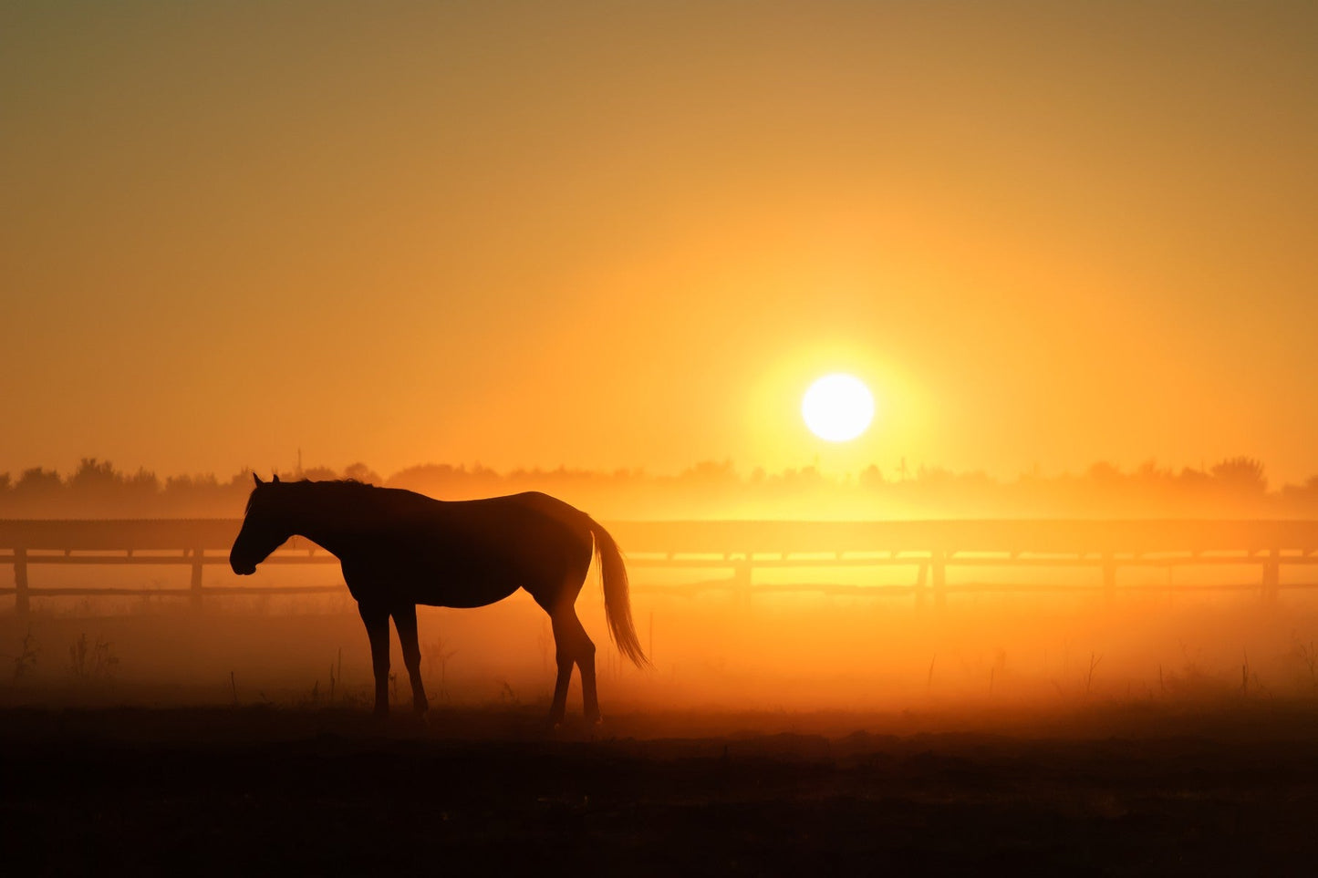 Sunset At The Ranch - Adhesive Vinyl Wrap