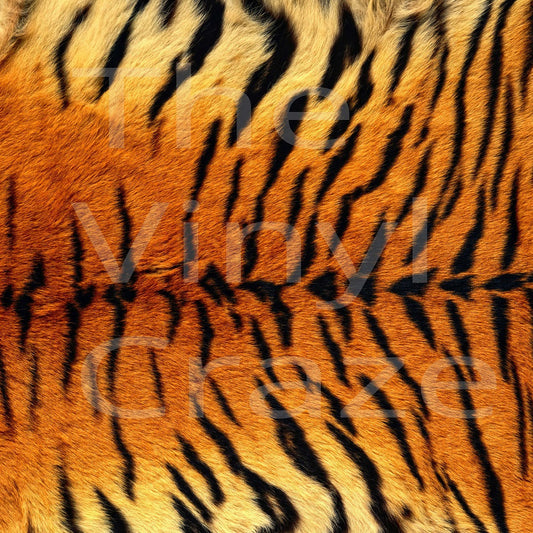 Tiger Fur - Adhesive Vinyl 12x12 Sheet