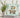 What the elf Glass Block Decal