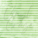 Tropical Vibes - Adhesive Vinyl Sheets