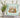 Pumpkin Season Glass Block Decal 2 sizes available