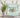 Frosted Fir Cafe Glass Block Decal 2 sizes available