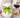 Tennis Coquette 2 UV DTF Decals