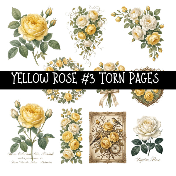 Yellow Rose Torn Pages UV DTF Decal sheets 8 Designs available