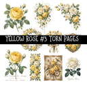 Yellow Rose Torn Pages UV DTF Decal sheets 8 Designs available