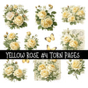 Yellow Rose Torn Pages UV DTF Decal sheets 8 Designs available