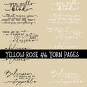 Yellow Rose Torn Pages UV DTF Decal sheets 8 Designs available