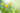Yellow Tulips and the Lady - Adhesive Vinyl Wrap