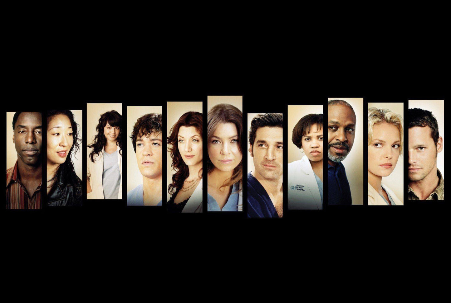 Seattle Grace - Vinyl Adhesive Wrap