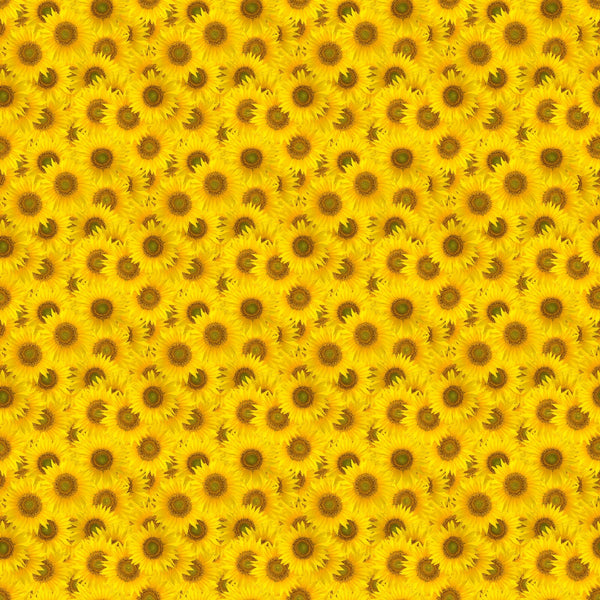 Sunflower Power - Adhesive Vinyl 12x12 Sheets