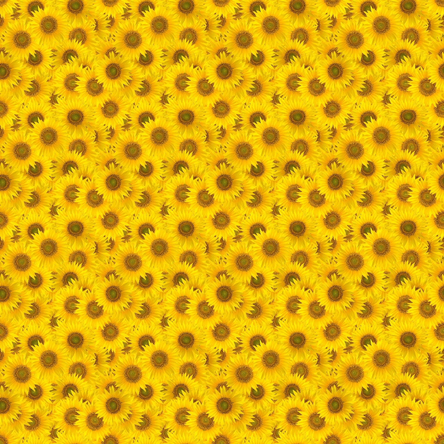 Sunflower Power - Adhesive Vinyl 12x12 Sheets