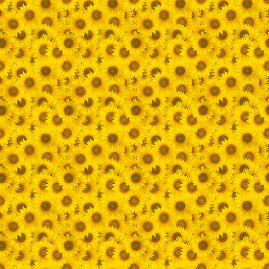 Sunflower Power - Adhesive Vinyl 12x12 Sheets