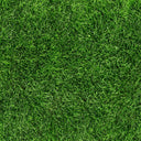 Grass - Adhesive Vinyl Sheets